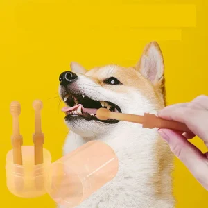 Toothbrush Toothpaste Pet Kit Teeth Cleaning Supplies