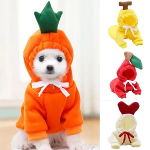 Fruit Dog Clothes