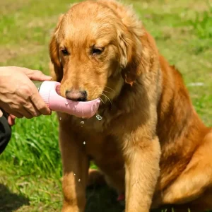 Portable Dog Water Cup